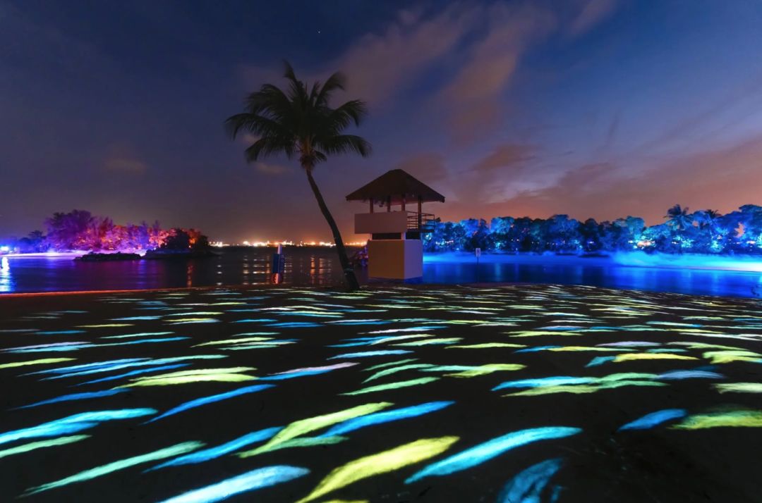 居家隔离的日子进入倒数！这个2月，去哪玩？认真记在小本本上