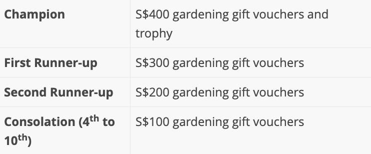 听说你周末又不知道去哪里玩了