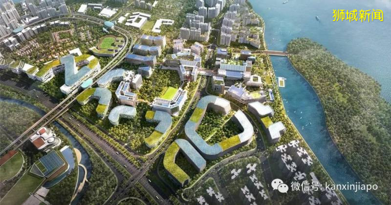 新加坡美女议员孙雪玲,回忆自己的成长和工作历程