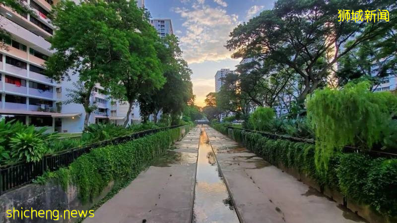 昨天傍晚，你是否欣賞到美麗的日落和絢麗的彩虹