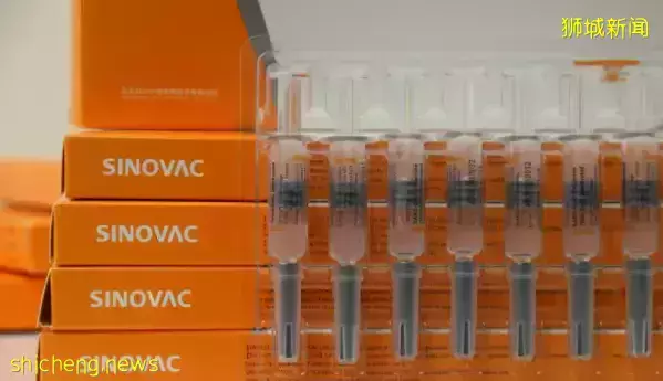 新加坡9至11歲兒童下周一起可接種疫苗！數據統計：新加坡超450萬人已完成疫苗接種