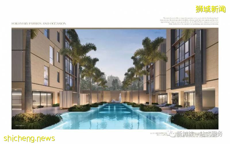 最美麗的自然風光: 新加坡植物園!