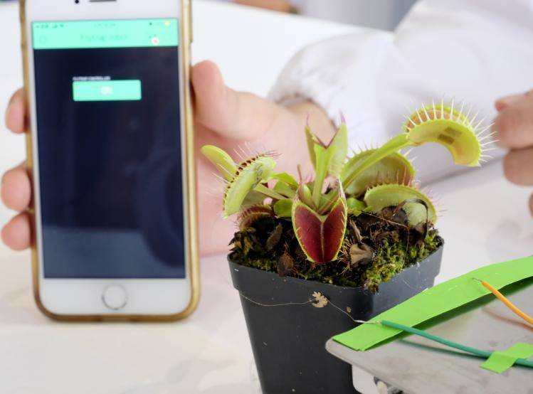 南洋理工大學團隊開發溝通裝置,能讓植物“張嘴說話”