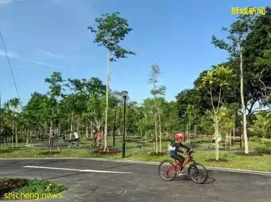 新加坡鼓励低碳出行又出新招啦