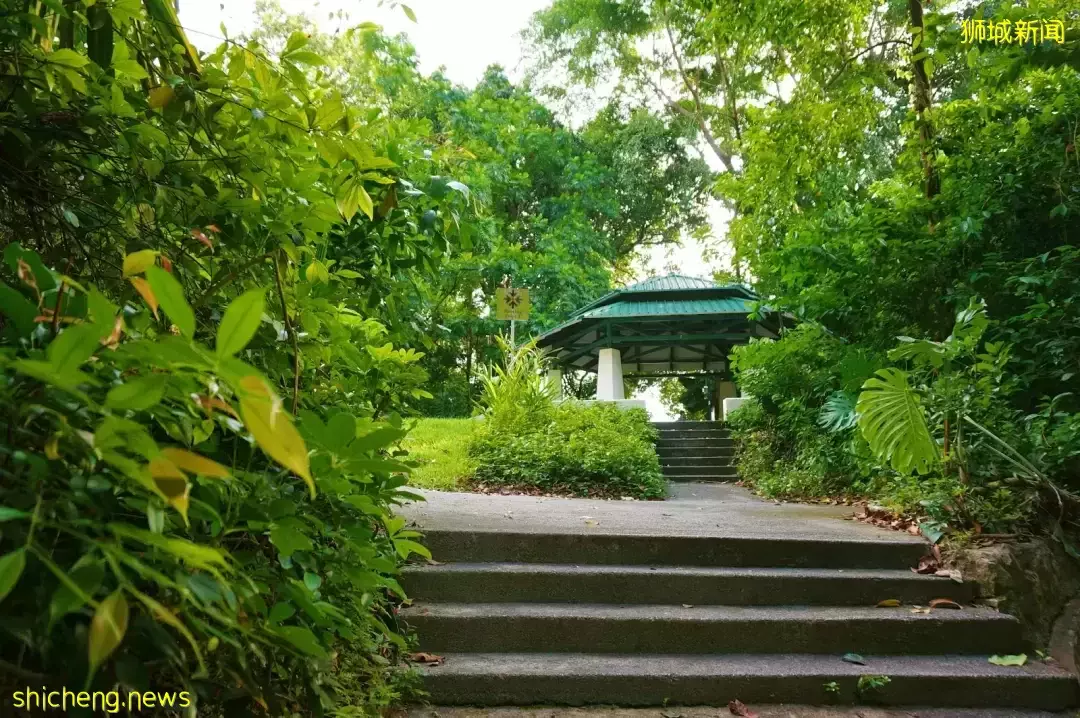 新加坡南部要建新公园,占地200公顷!这些地方太美了打卡必去