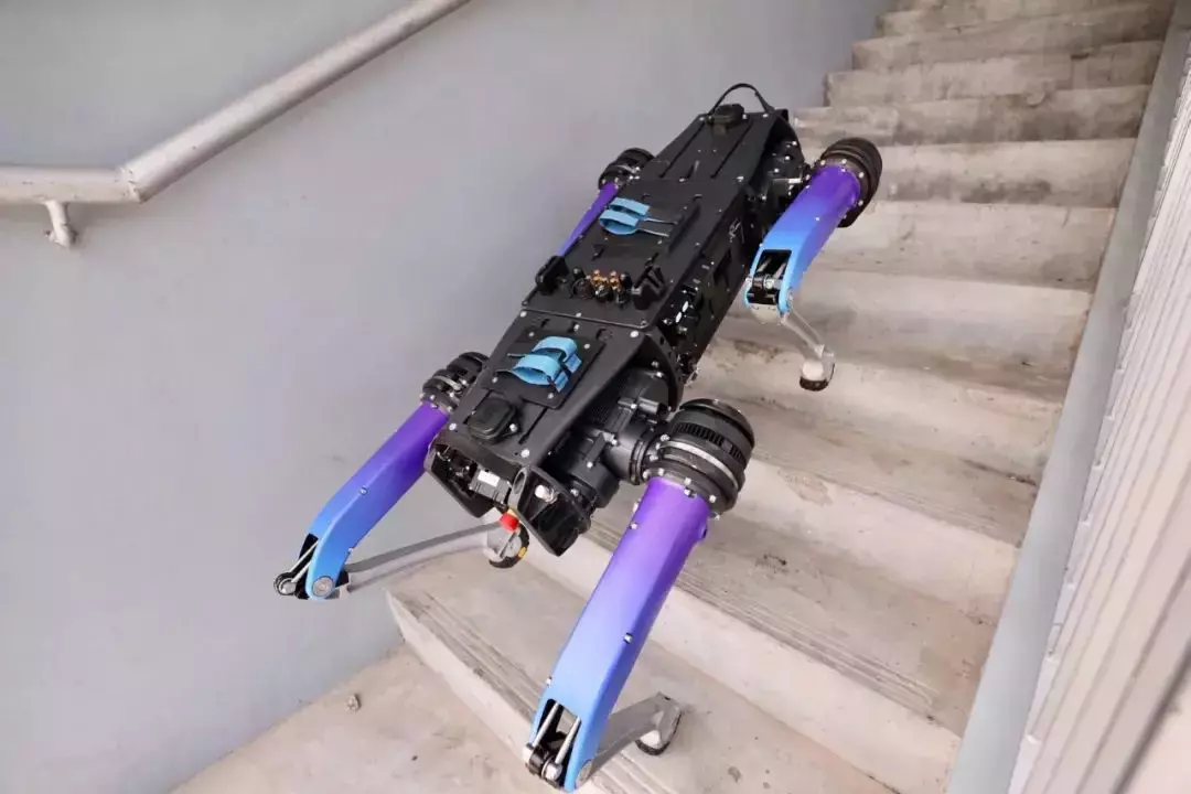 这个机器狗太棒了！可以代替警员在高危场所出生入死