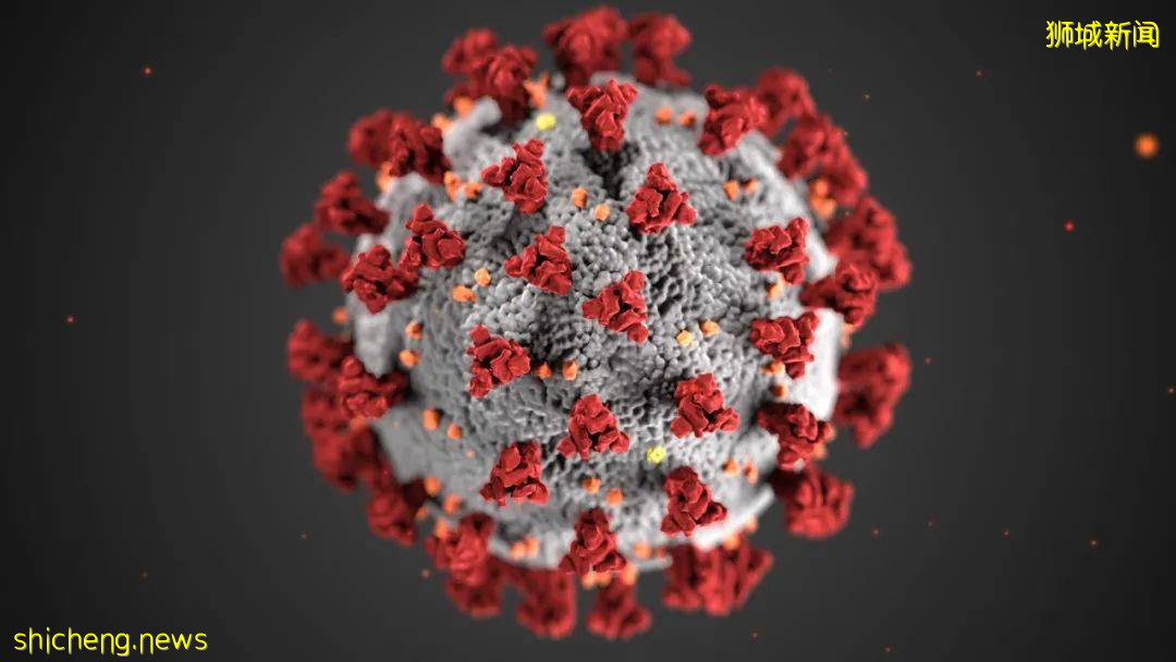 高清實拍!又有8人試圖偷渡到新加坡