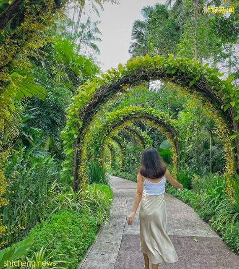 坡島9月活動速遞!冰激淩博物館!Epigram快閃書店!美食節回歸,一起嘗遍本地美食