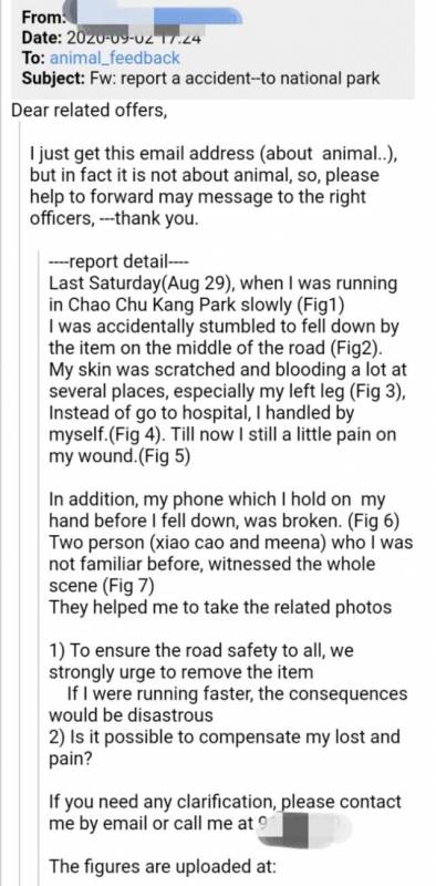 公园夜跑被绊倒,新加坡政府处理流程全记实