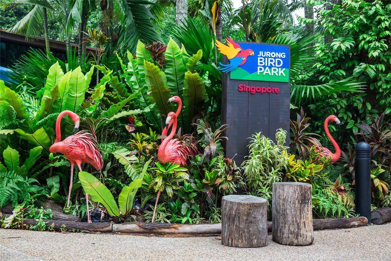 新加坡 吸引人们来,靠的不仅是颜值,还有才华