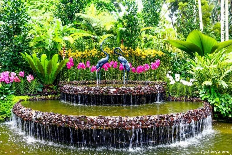 狮城DNA | 闹市中的绿洲——一座有历史的植物园