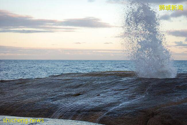 What?在新加坡游泳也要戴口罩?有卵用吗