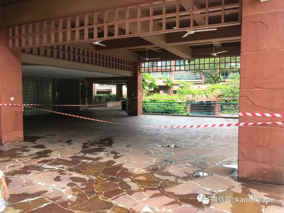 史无前例!今天,新加坡全岛按下“暂定键” | 新增X例,累计X