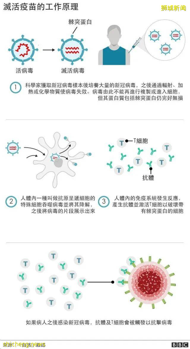 有人打完科興嫌抗體低,去補打輝瑞?官方回複來了