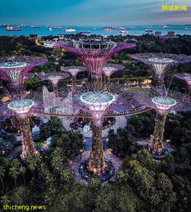 新加坡留学生省钱攻略.看起来 