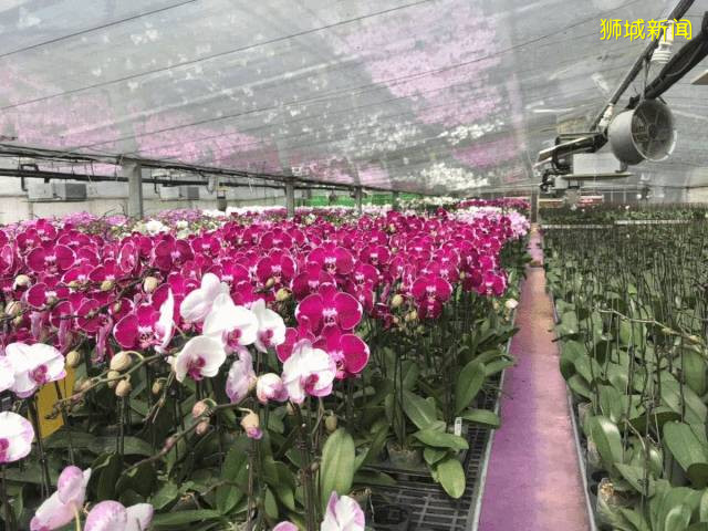 新加坡國慶大促，省錢就看這一貼！錯過再等一年