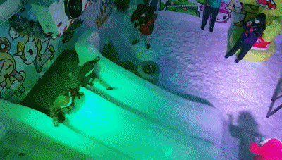 今增4，新加坡连续9天无本地病例，史上首次 | 樟宜机场冰雪仙境，抢鲜体验