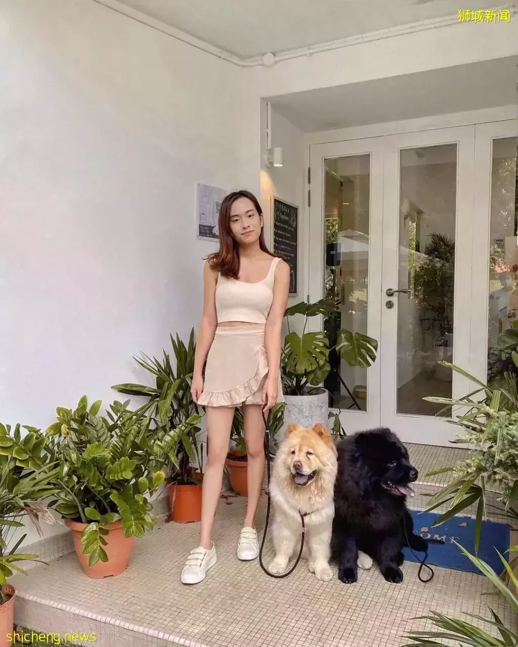 吃喝撸狗兩不誤!新加坡15家寵物友好咖啡廳 · 快上小可愛一起去體驗吧