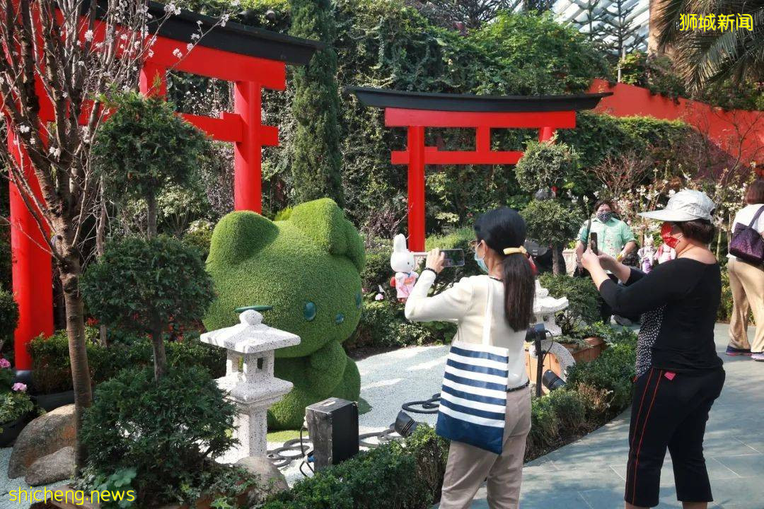 3190例！新加坡景点即日起限行！连续8天没有新的大型感染群！专家：死亡数量在预料之中