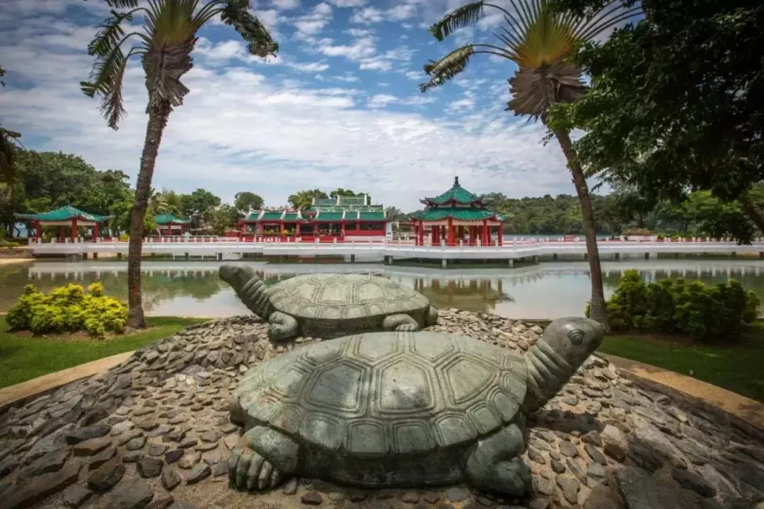 刺激！新加坡最酷的海上运动，1小时乘海军飞艇游5个岛，感觉爽飞了