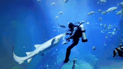 宽松适宜的新加坡亲子游：教育，科技，乐园等均不错过的游玩攻略