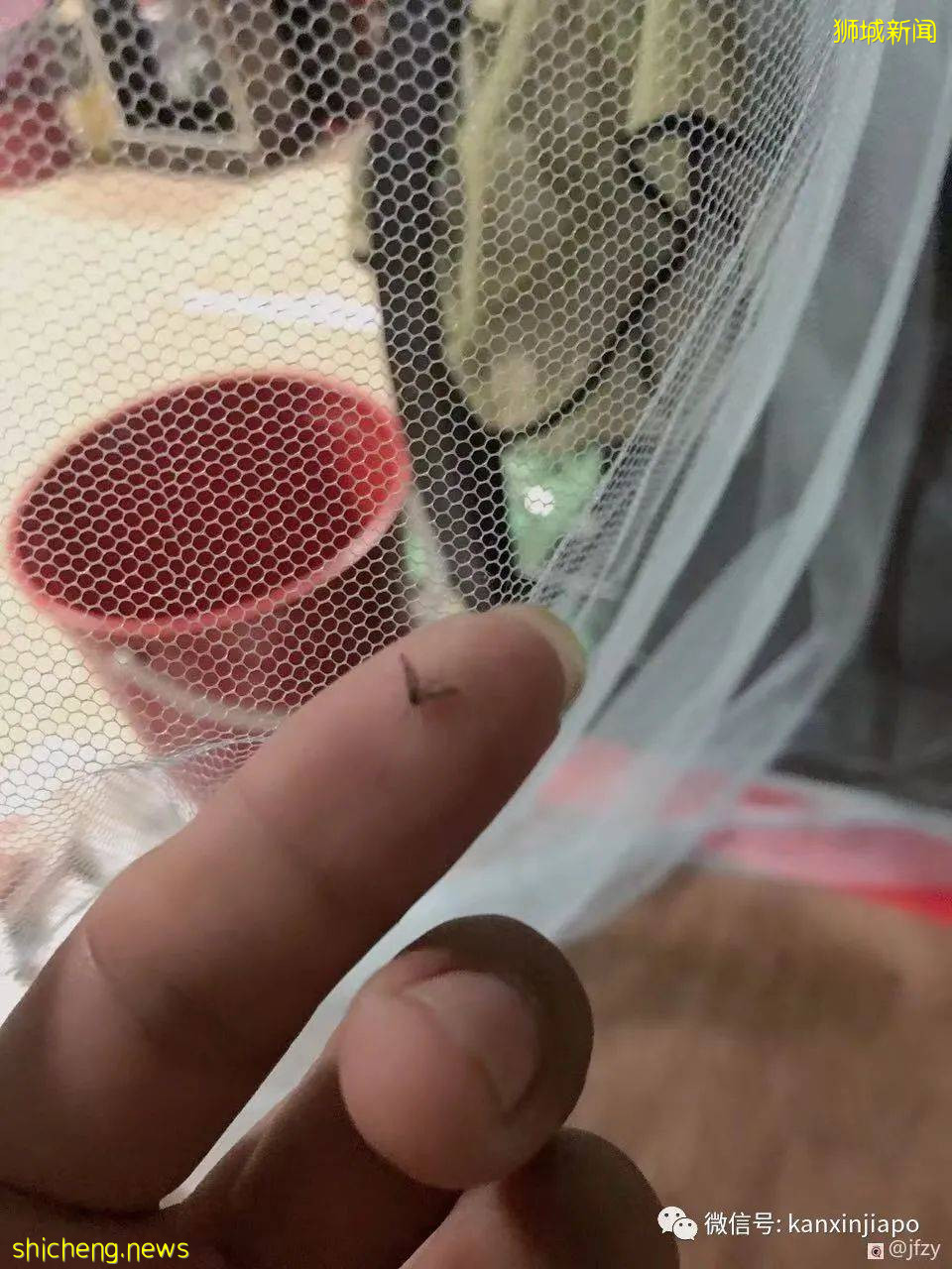 中国劳工新加坡生活录:背井离乡的酸甜苦辣