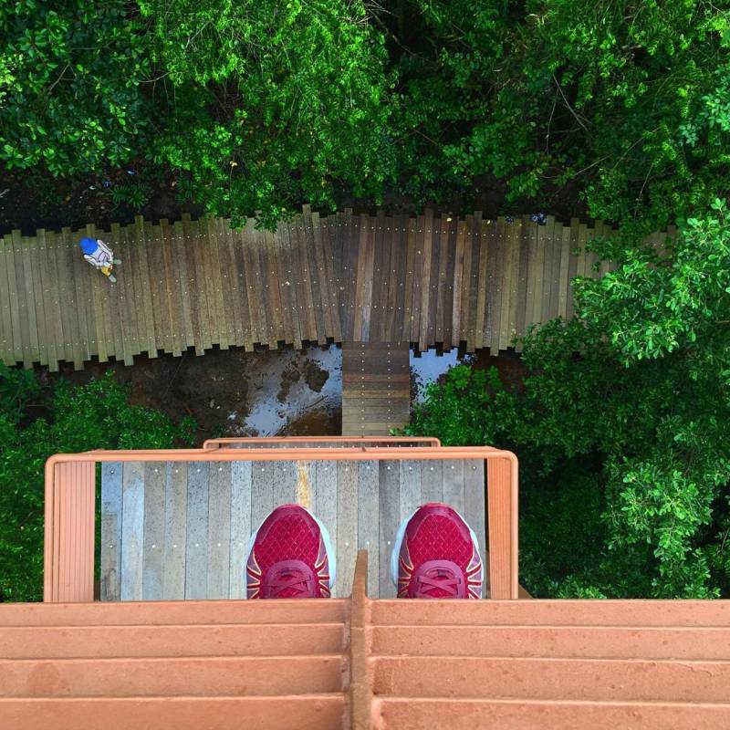 新加坡多元化自然生態!Chek Jawa Wetlands 島上濕地公園🏝 徒步探索、沿海浮橋邂逅美景