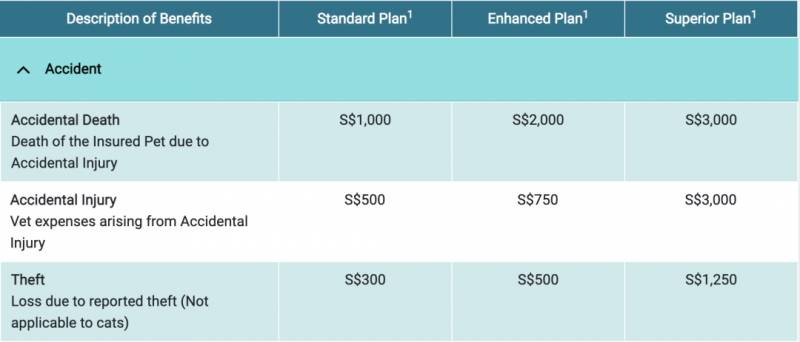 在新加坡，我的狗狗咬人了怎么办