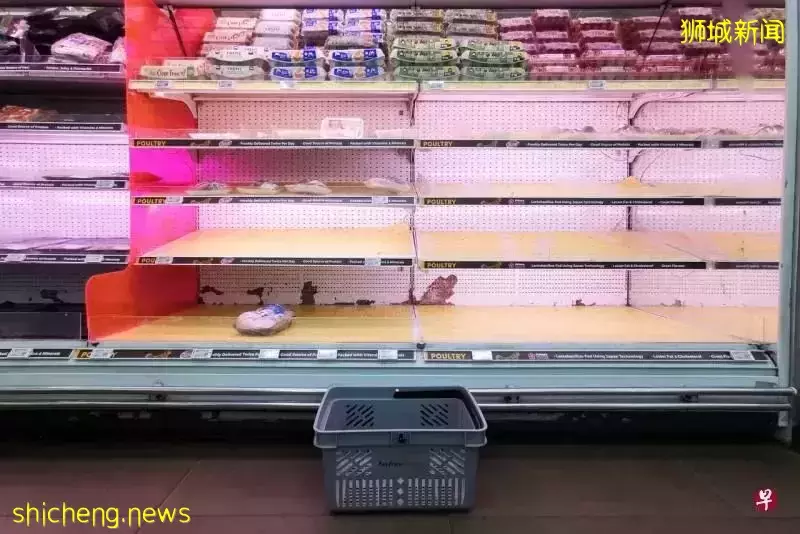一次買八只!新加坡掀起搶雞行動,豬肉魚肉也漲價了