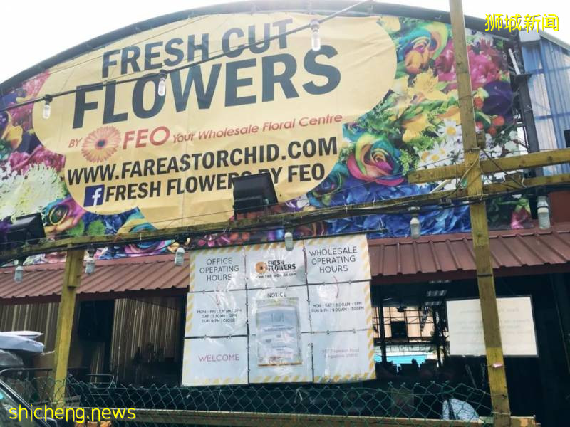 除了超市，原來新加坡還能在這些地方買到鮮花