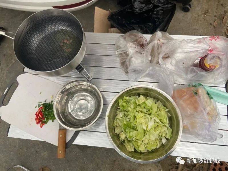 丟下丈夫爲自己而活，離家自駕遊的“中國阿姨”紅到美國和新加坡