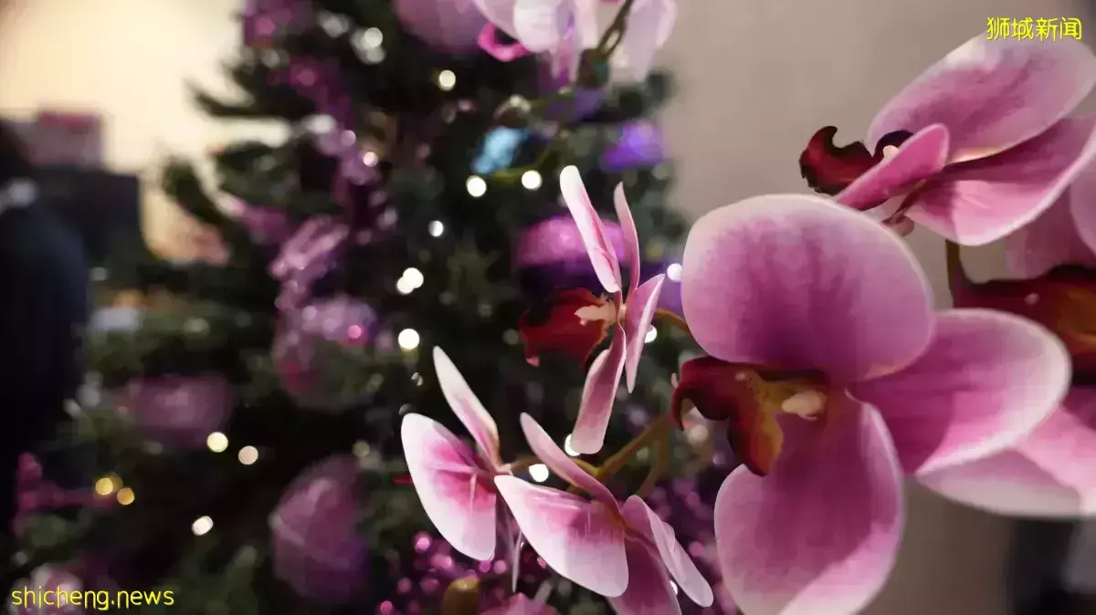 明星校友孙燕姿惊喜出席,李伟菘音乐学校隆重开幕