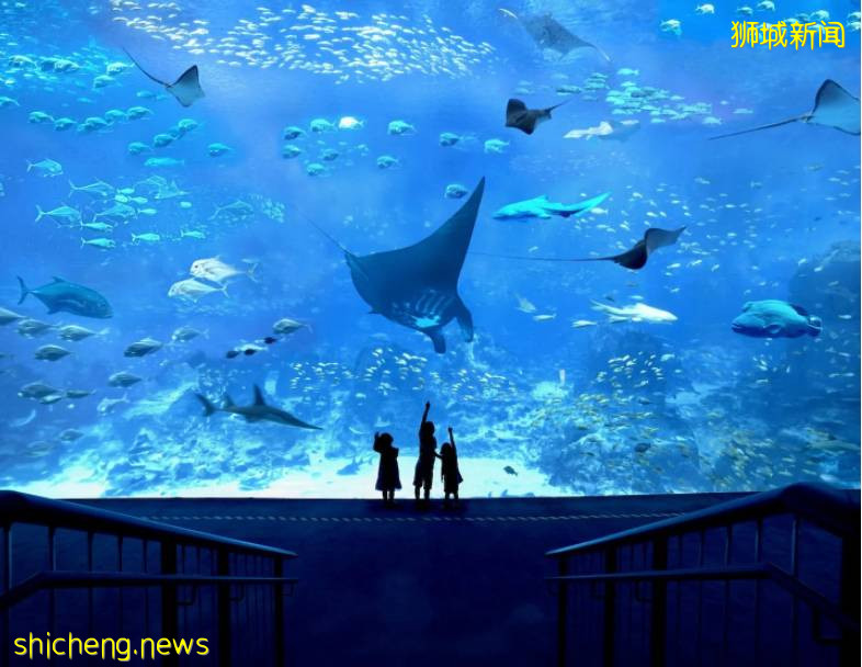 21個新加坡假期營!放飛無處安放的熊孩子