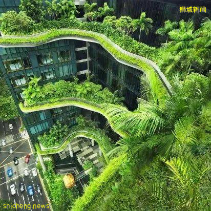 蒸笼一样的学校、积木一样的住宅、花园一样的酒店,就问你这些迷幻设计,你high吗