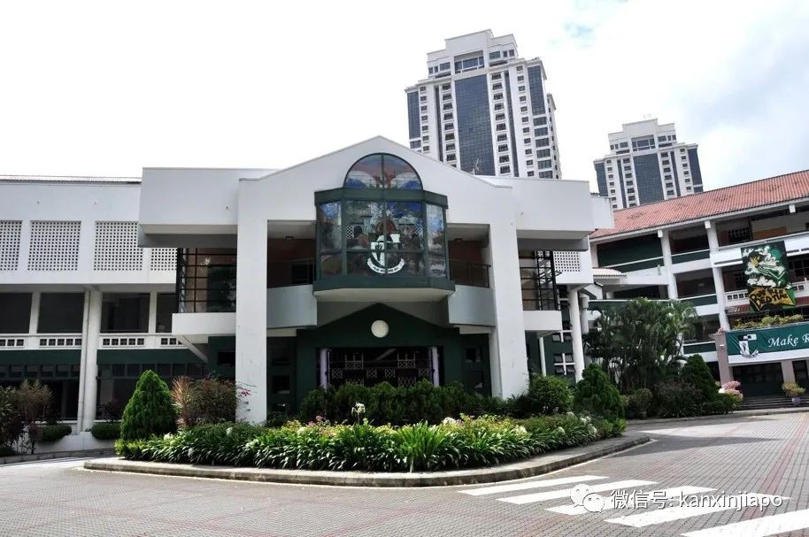 在新加坡,原来还隐藏着这么一类“小而美”的家