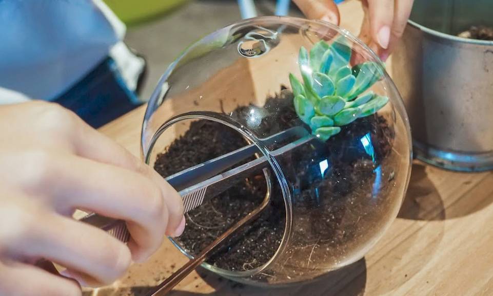 鲜为人知!新加坡7个吃早餐+玩乐的好地方