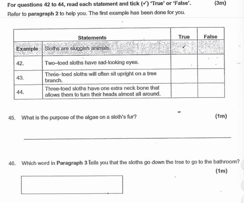 新加坡的小学生原来这么难?深扒小学试卷有多烧脑