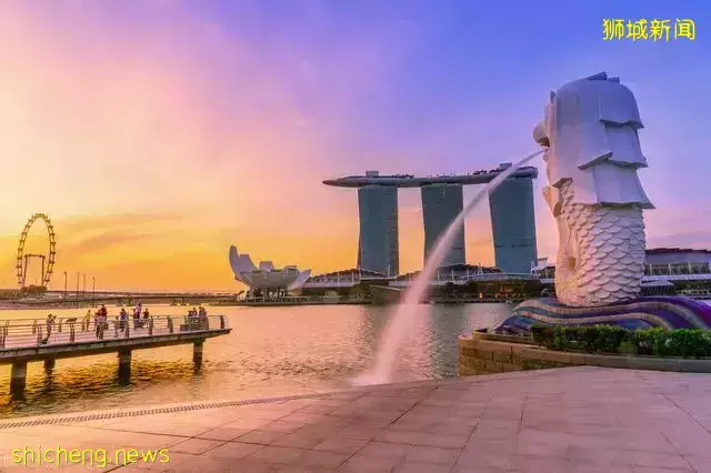 去新加坡留學，管理大學值得申請嗎