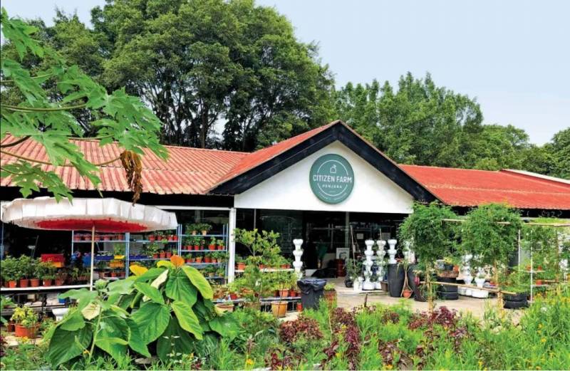 新加坡“30•30”食物愿景