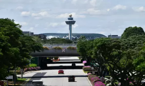 新加坡、泰國昨日起互通邊境！VTL旅客入境新加坡，須一周內每天進行抗原檢測