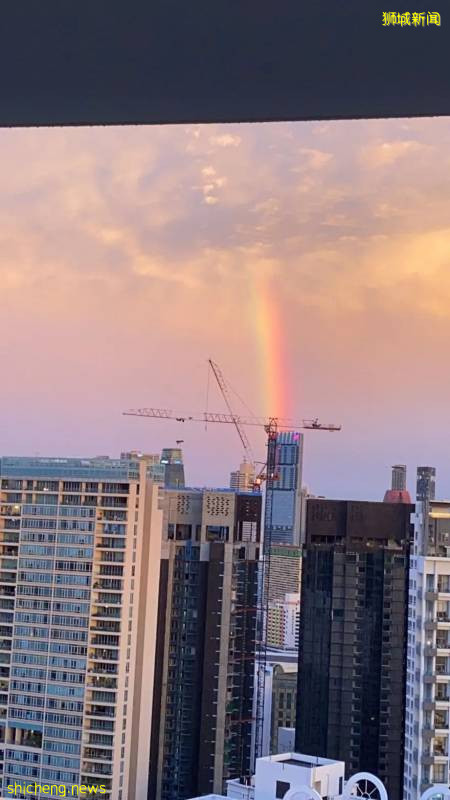 刷屏!新加坡昨天出现绝美彩虹,副总理也忍不住转发!