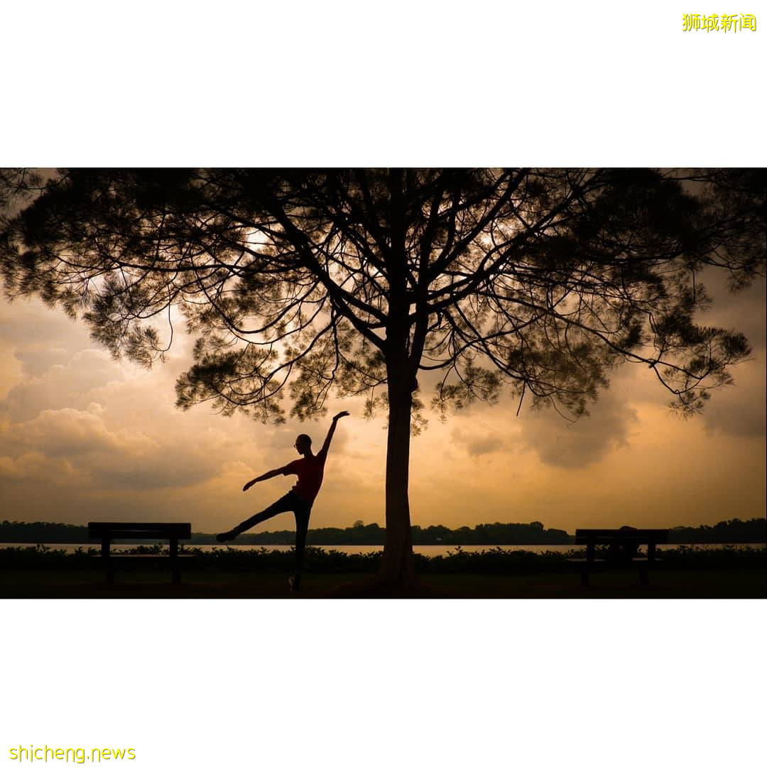 新加坡網紅樹@Upper Seletar Reservoir Park,對稱感美景,隨手一拍都是大片