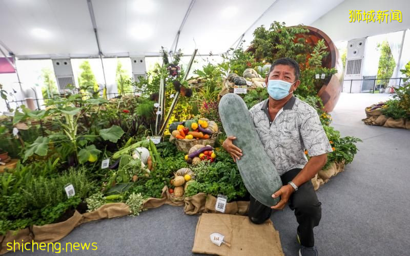 逾30公斤重大冬瓜 在社區花園蔬果園藝比賽得獎