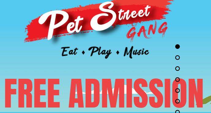 圣淘沙宠物Workshop ，让你和你的宠物一起浪起来