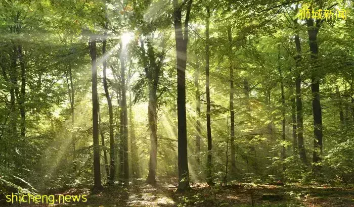 周末不懂要去哪?去新加坡TOP 3自然風光吧