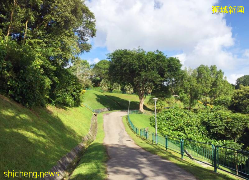 第2个周末，新加坡路上超多人！吐血推荐15个人少好玩的地方