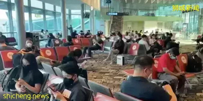 澳洲重新對新加坡開放,入境無需隔離