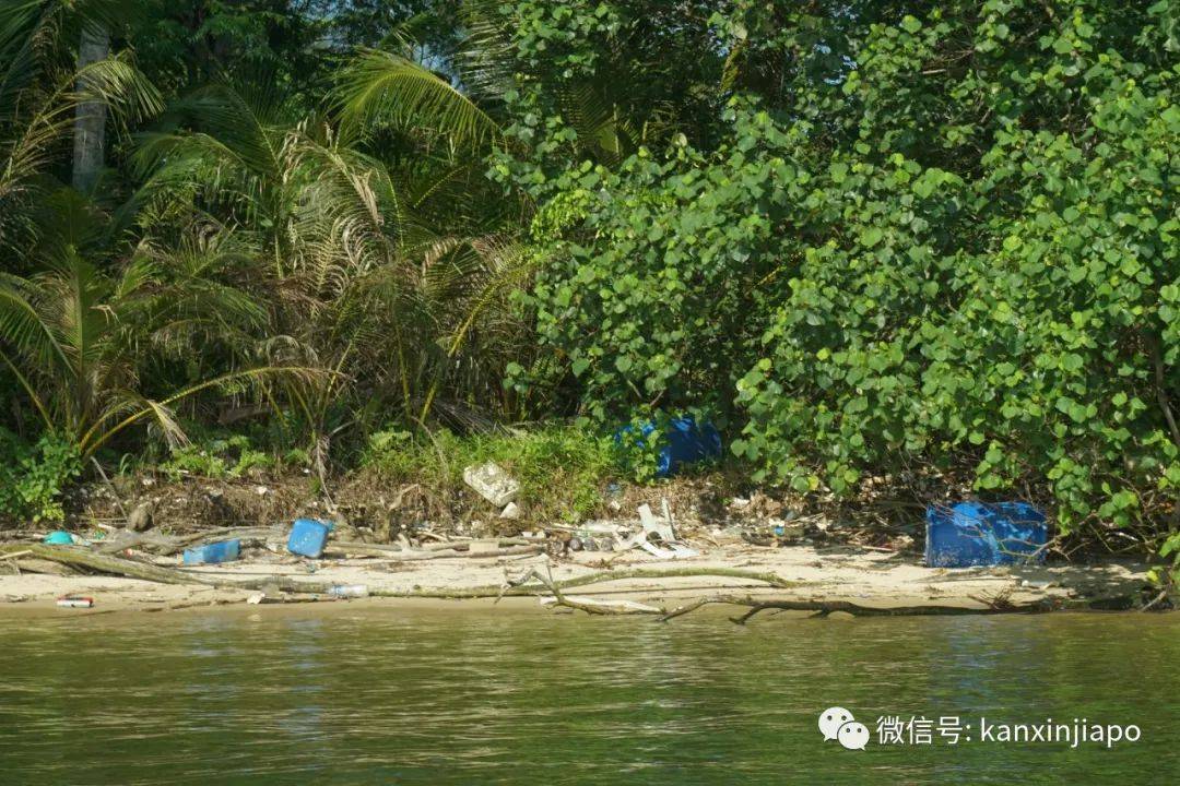 部長1小時撿到381公斤垃圾,新加坡真的能沒有清潔工嗎