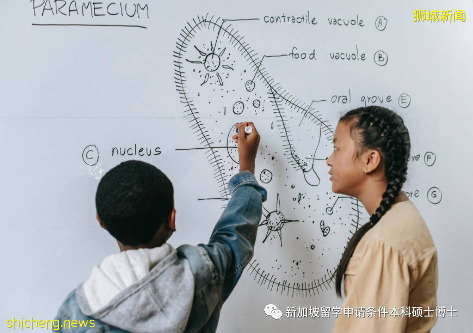 低龄学生留学新加坡要满足什么条件?这几点得注意