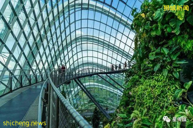 多味缤紛新加坡，旅遊攻略收藏貼